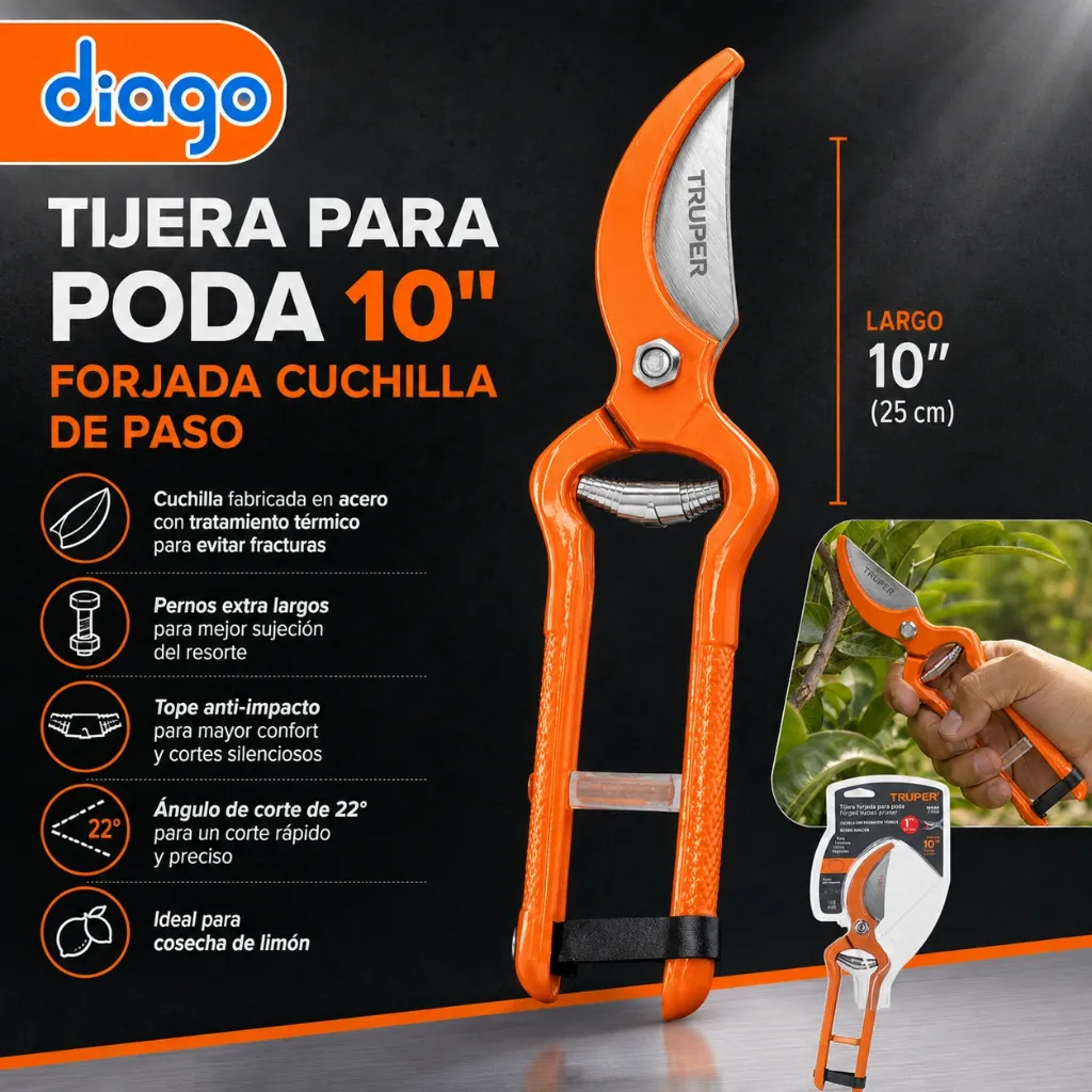 822fbd55-5630-4e4d-94fc-647def84a84d.webp