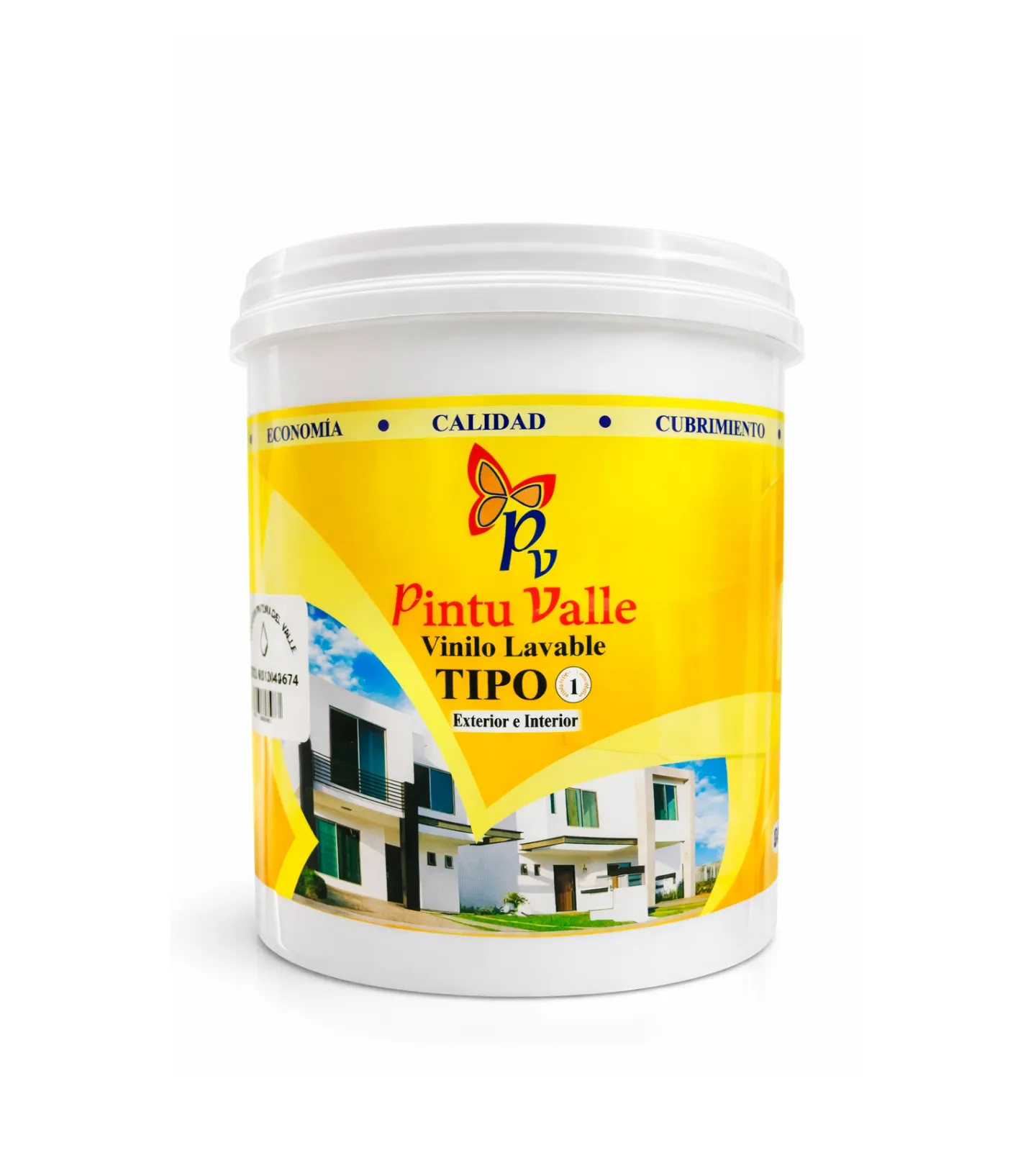 [602450] 1/4 PINTURA BLANCA TIPO 1 PINTU VALLE